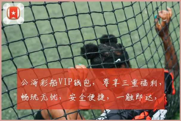 公海彩船VIP钱包，尊享三重福利，畅玩无忧，安全便捷，一触即达，体验非凡