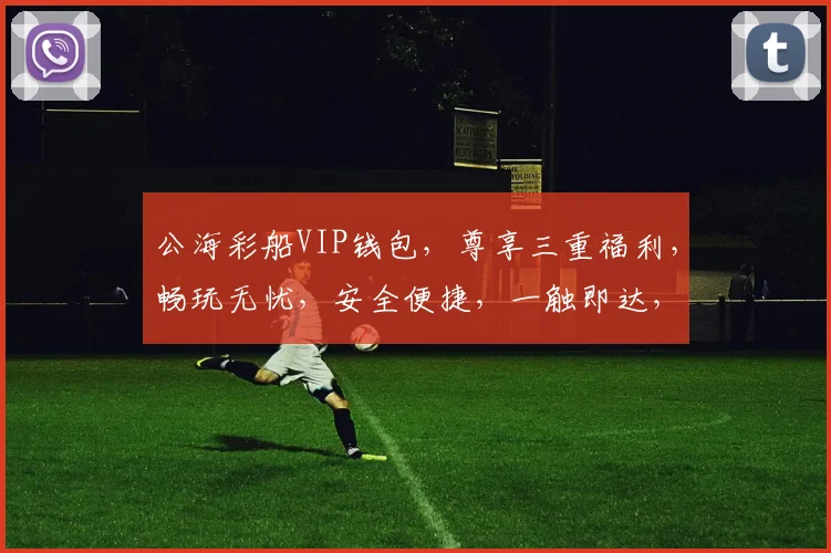 公海彩船VIP钱包，尊享三重福利，畅玩无忧，安全便捷，一触即达，体验非凡