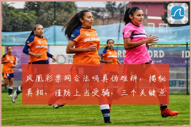 凤凰彩票网合法吗真伪难辨，揭秘真相，谨防上当受骗，三个关键点，助你识别